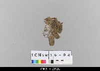 中國北京皮影藏品圖，第1張